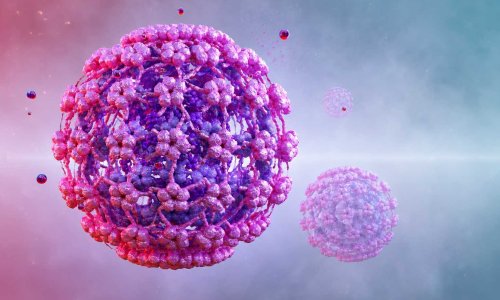 hpv virusunun əlamətləri
